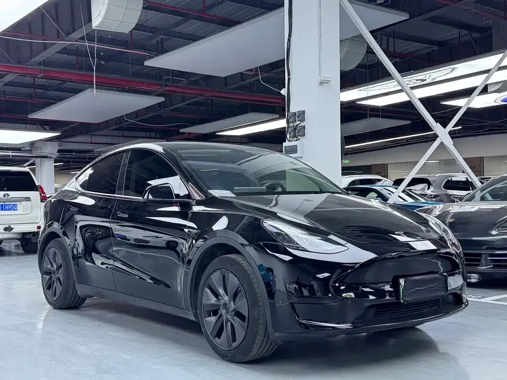 Tesla Model Y — фото 10