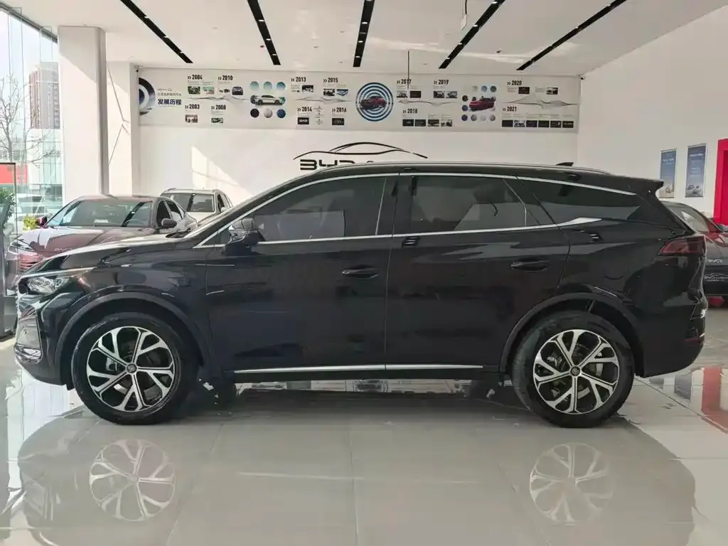 BYD Tang New Energy — фото 5