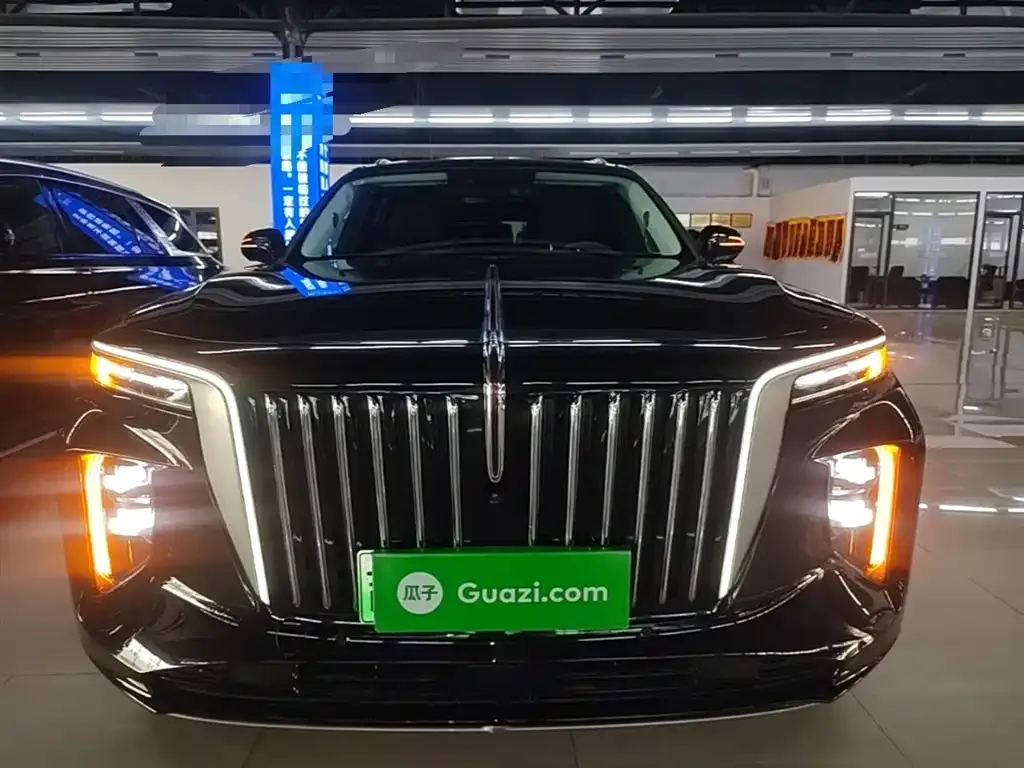 Hongqi E-HS9 — фото 10