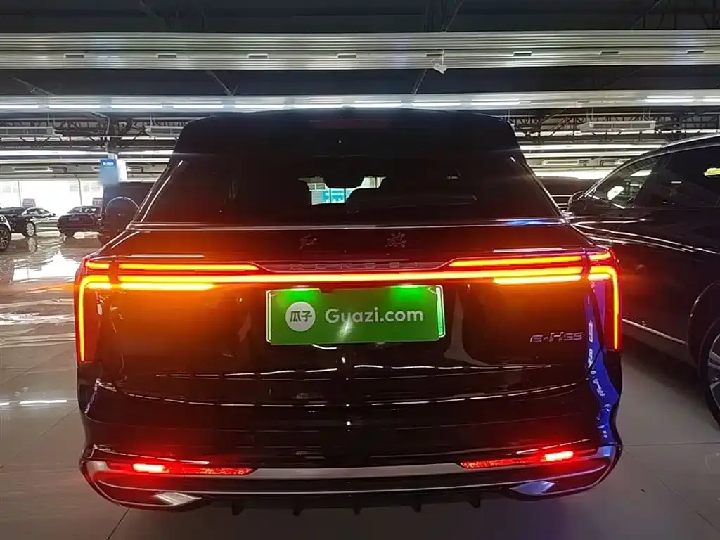 Hongqi E-HS9 — фото 3