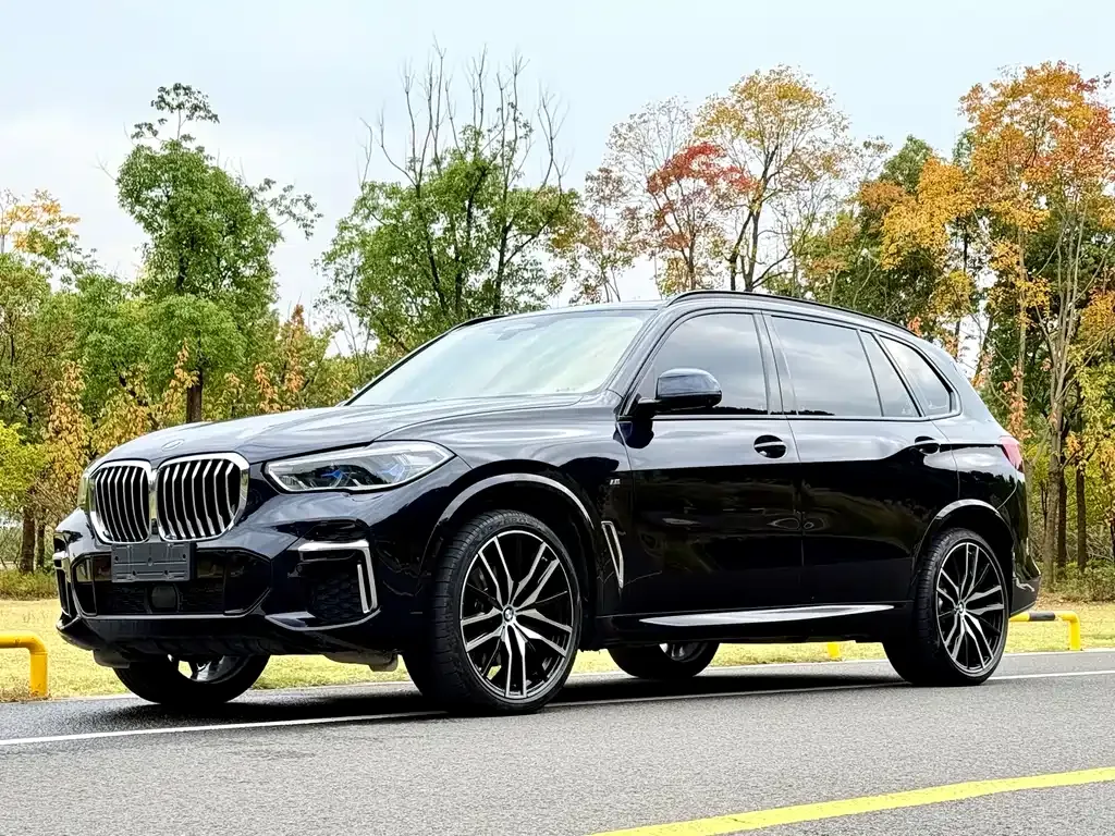 BMW X5 — фото 1
