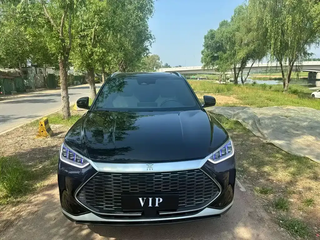 BYD PLUS New Energy — фото 9