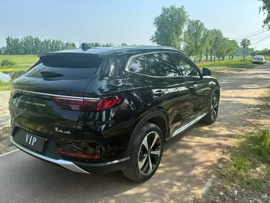 BYD PLUS New Energy — фото 5