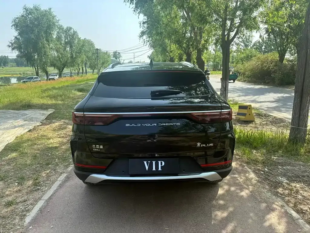 BYD PLUS New Energy — фото 4