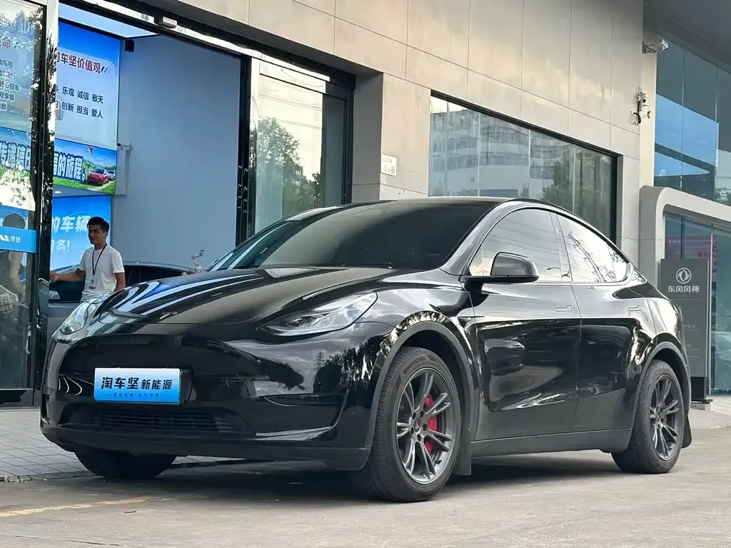 Tesla Model Y — фото 1