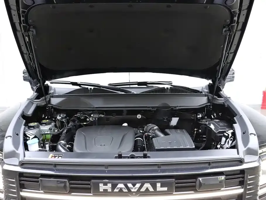 Haval Menglong New Energy — фото 10