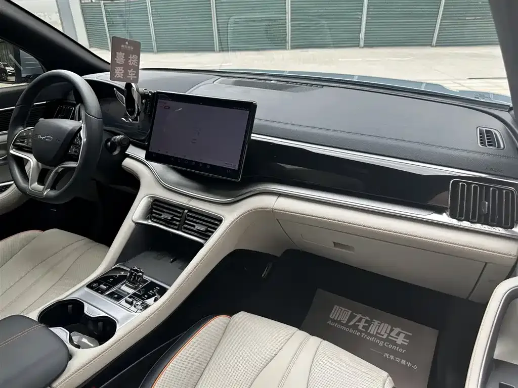 BYD PLUS New Energy — фото 4
