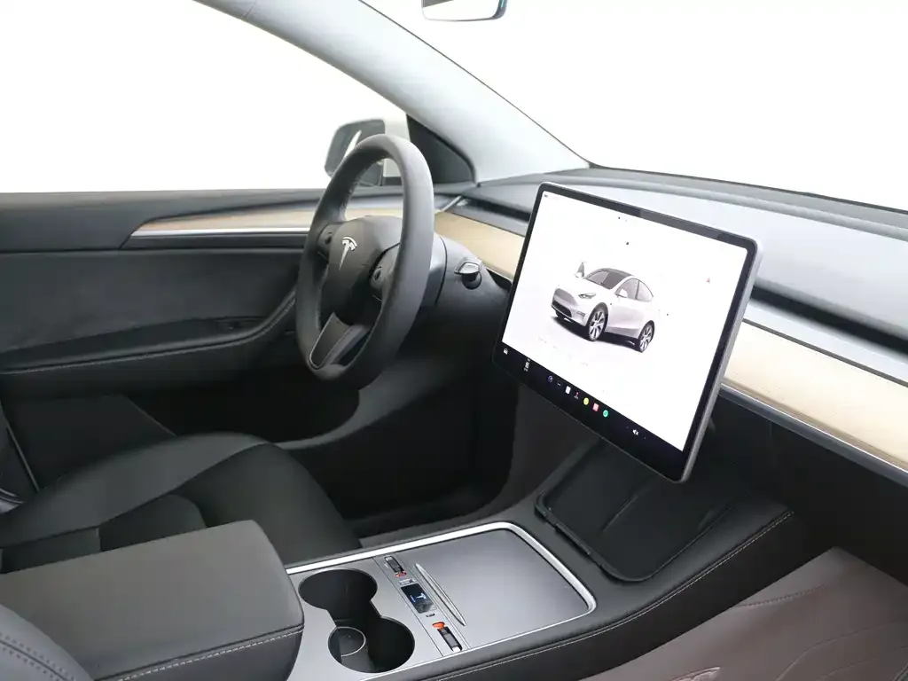 Tesla Model Y — фото 9
