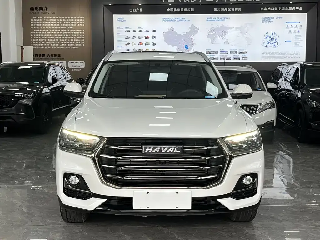 Haval H6 — фото 8