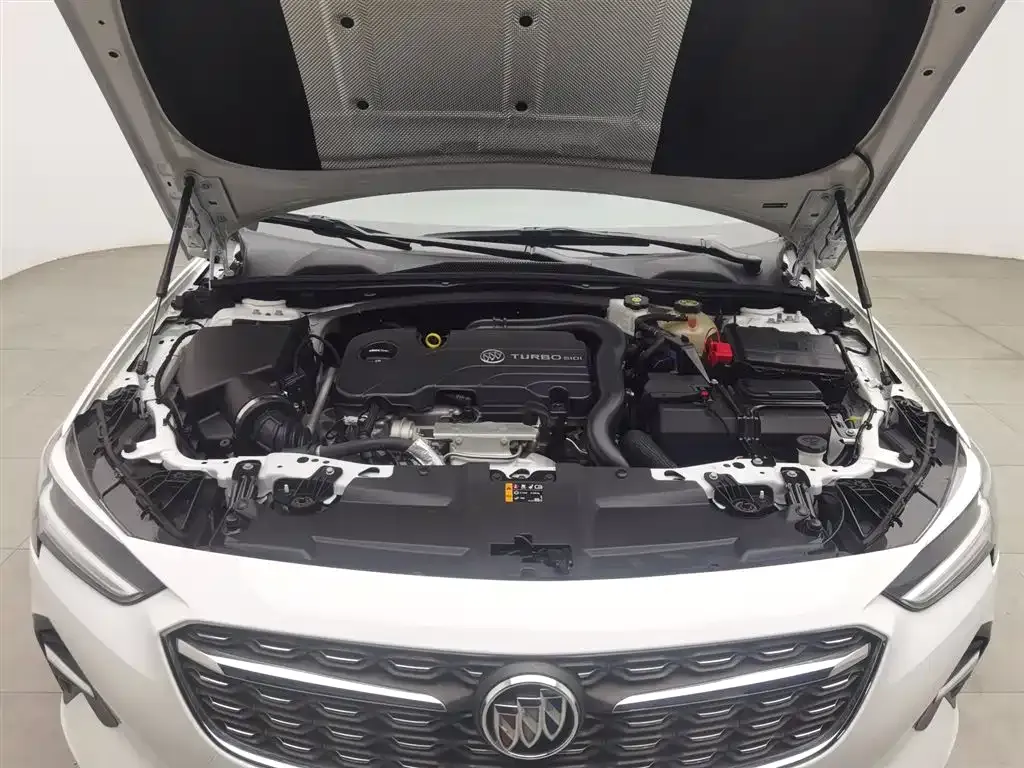 Buick Regal — фото 10
