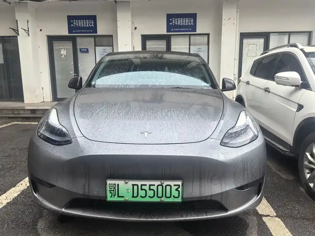 Tesla Model Y — фото 1