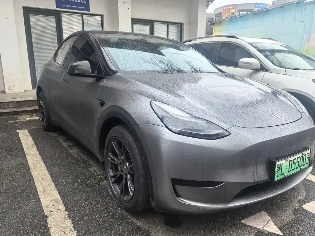 Tesla Model Y — фото 6