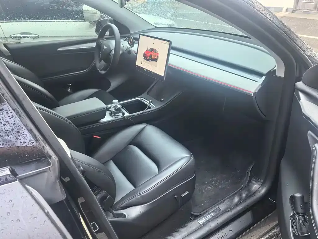 Tesla Model Y — фото 2