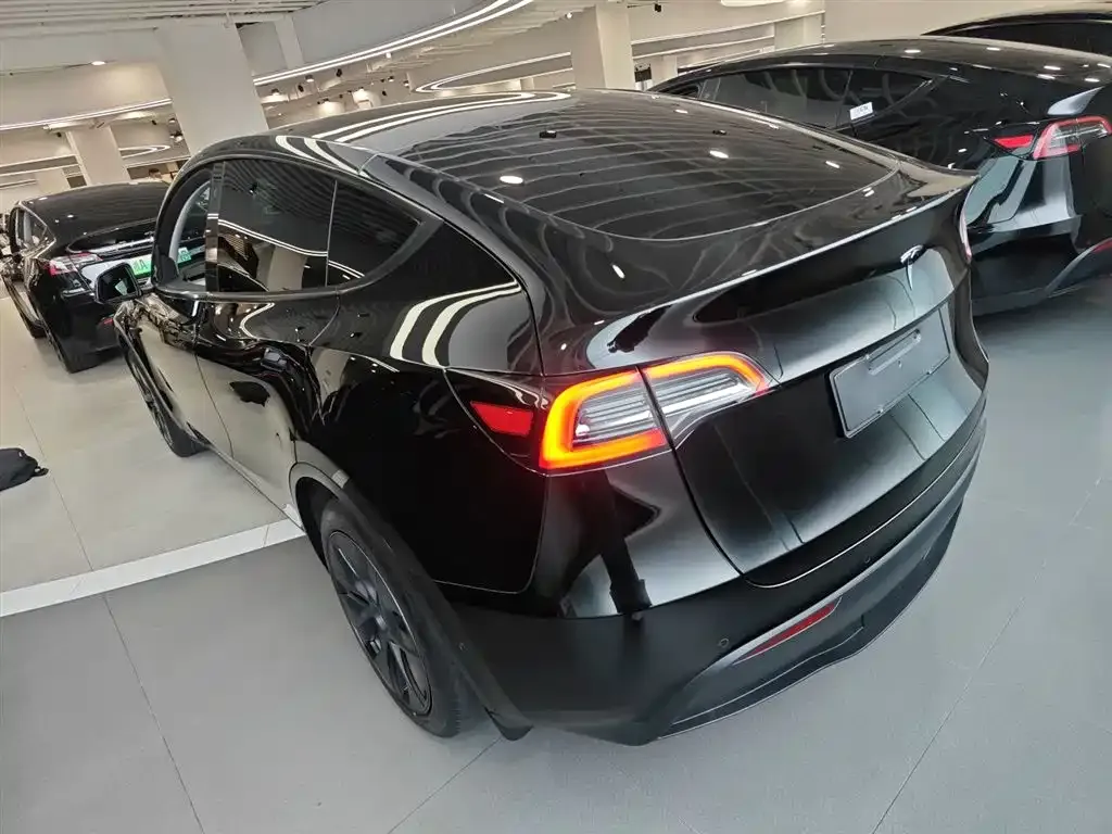 Tesla Model Y — фото 2