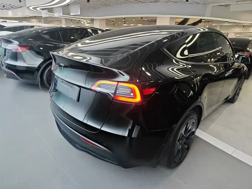 Tesla Model Y — фото 9