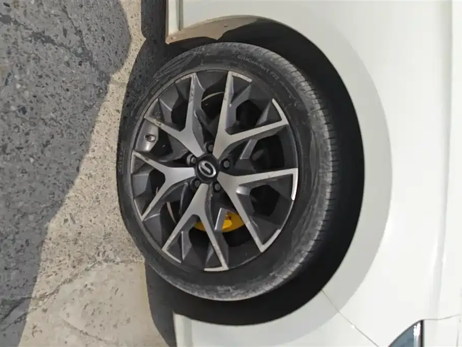 GAC Motor Shadow Leopard — фото 6