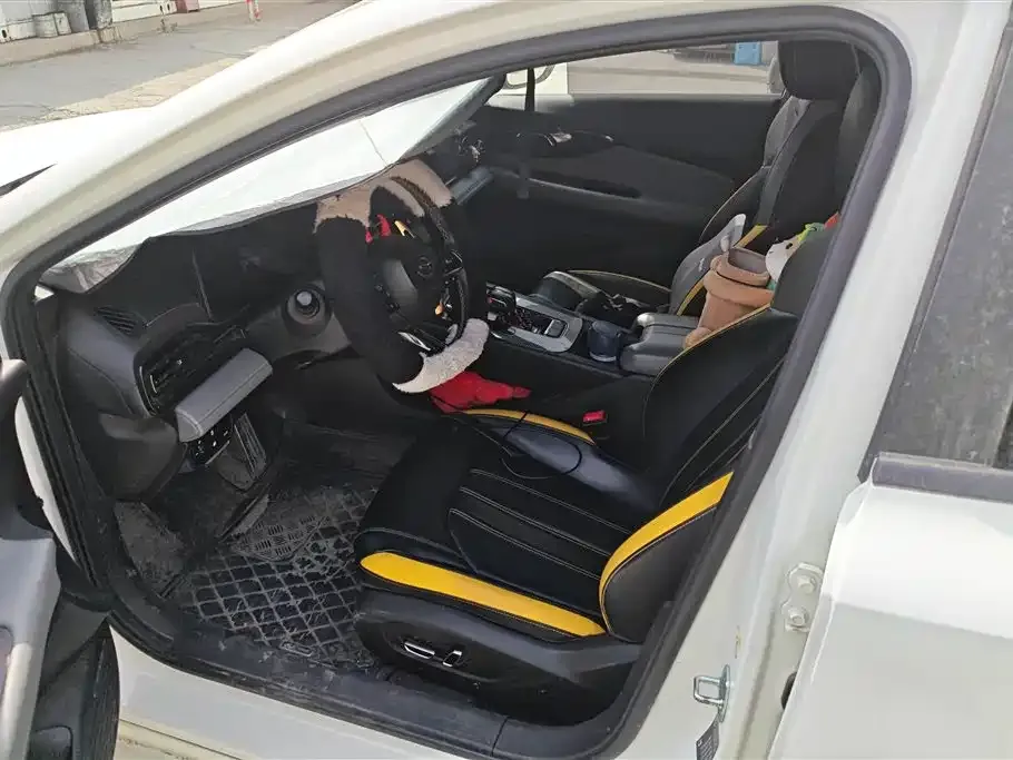 GAC Motor Shadow Leopard — фото 7