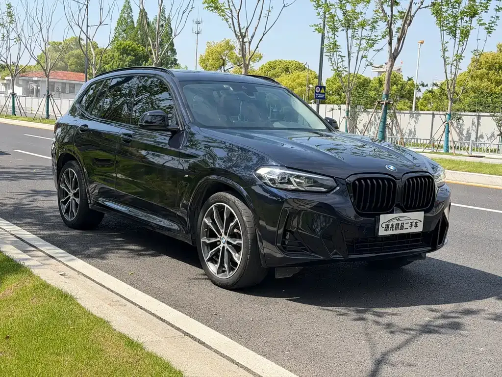 BMW X3 — фото 10