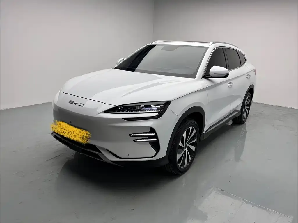 BYD PLUS New Energy — фото 1