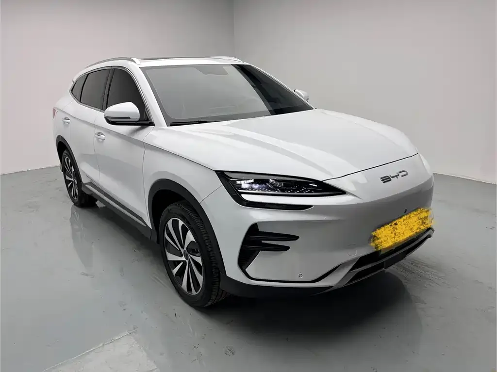 BYD PLUS New Energy — фото 9