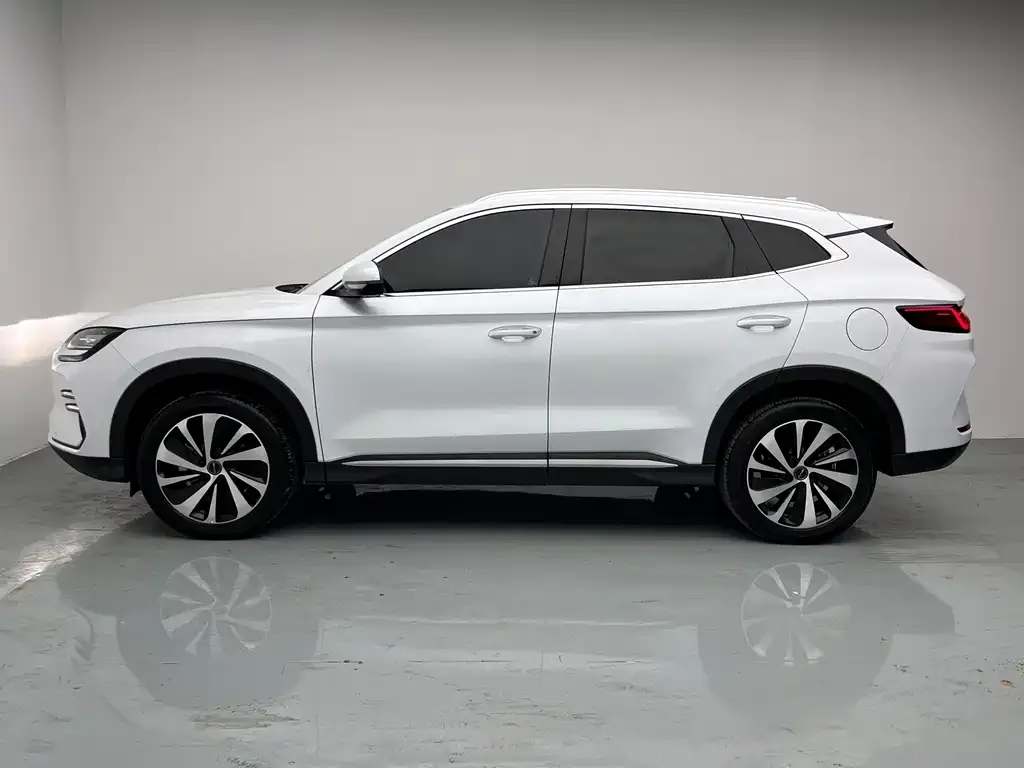 BYD PLUS New Energy — фото 6