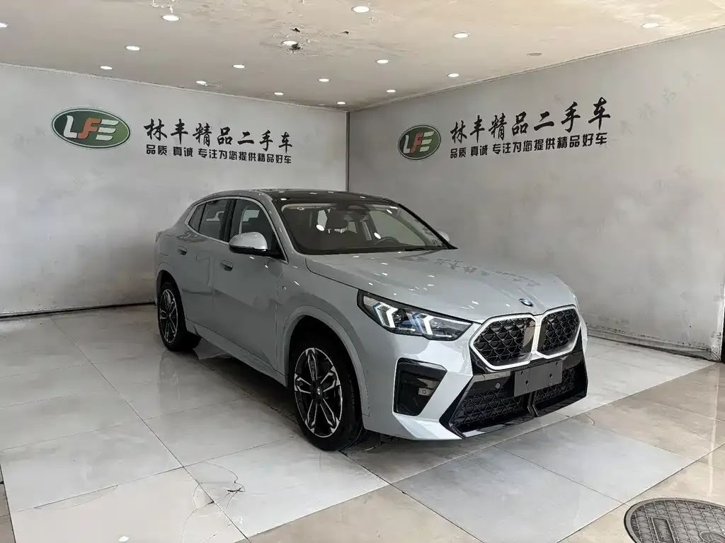 BMW X2 (Import) — фото 10
