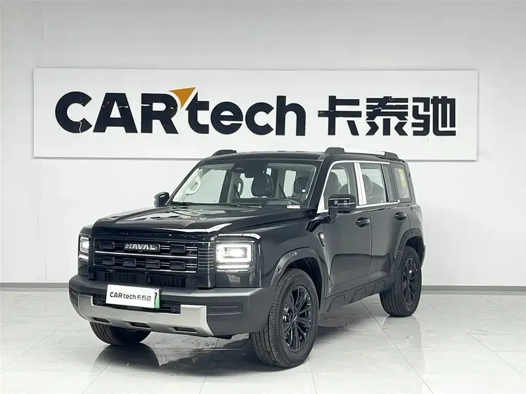 Haval Menglong New Energy — фото 1