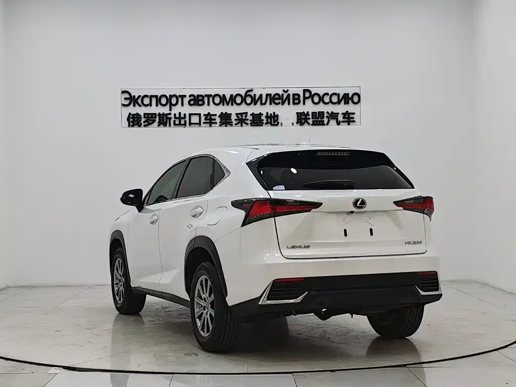 Lexus NX — фото 6