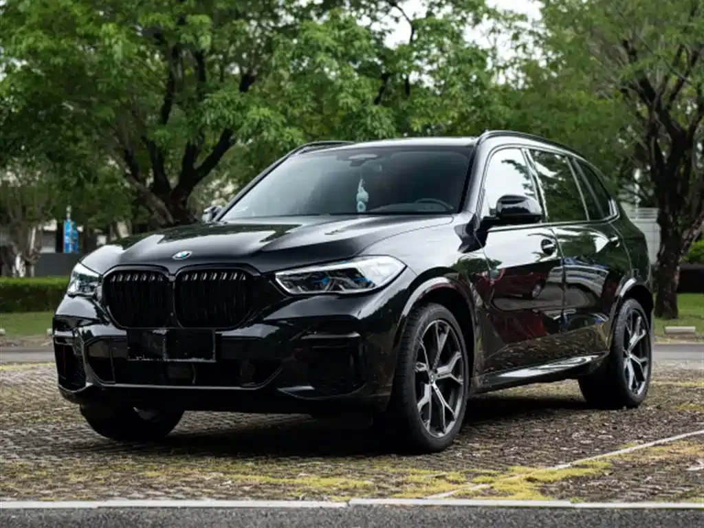 BMW X5 — фото 1