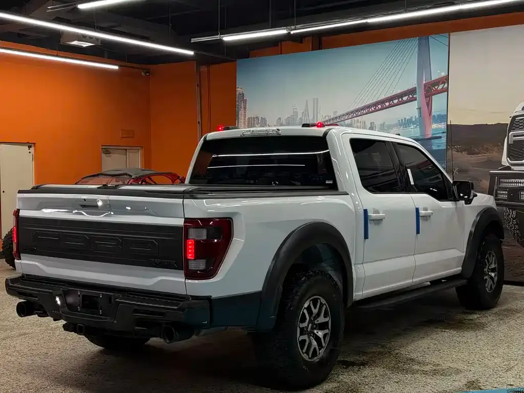 Ford F-150 Raptor — фото 6