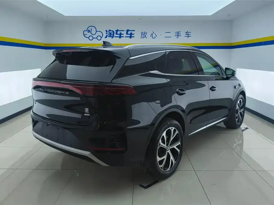BYD Tang New Energy — фото 2