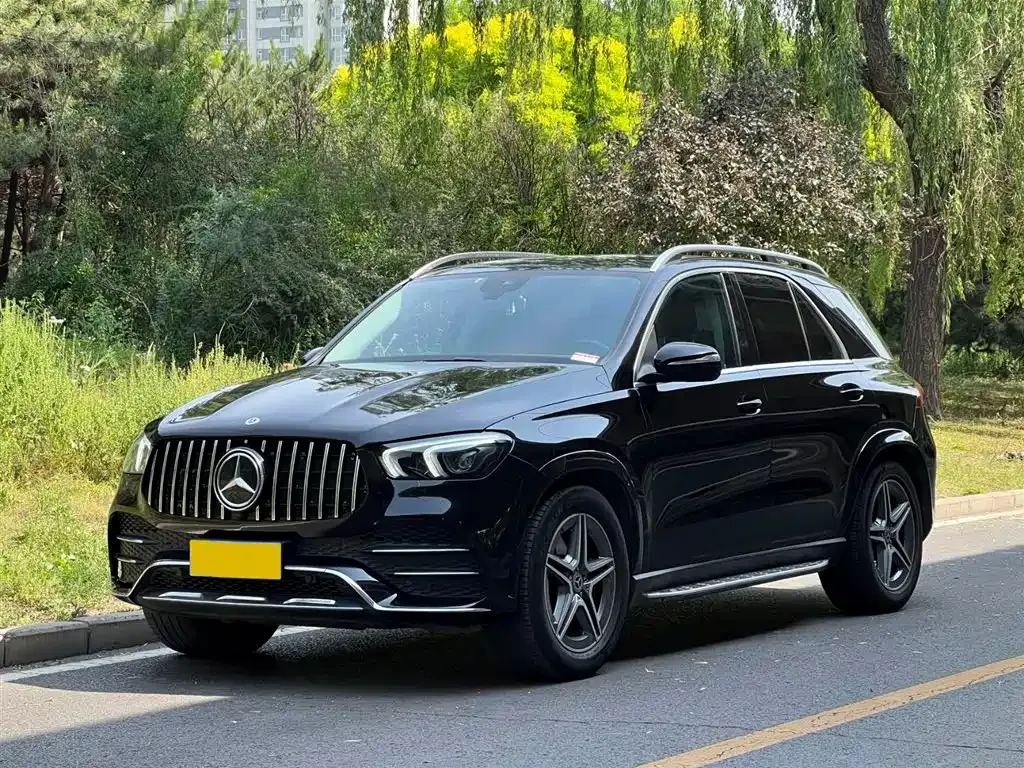 Mercedes-Benz 奔驰GLE(进口) — фото 1