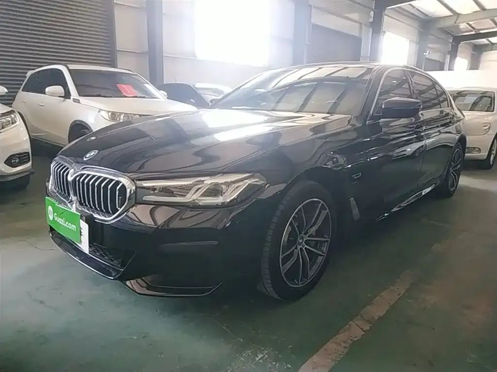 BMW 5 Series New Energy — фото 1