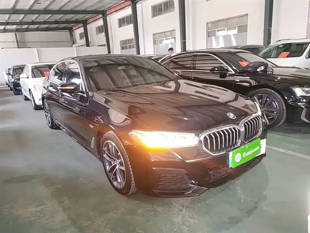BMW 5 Series New Energy — фото 4