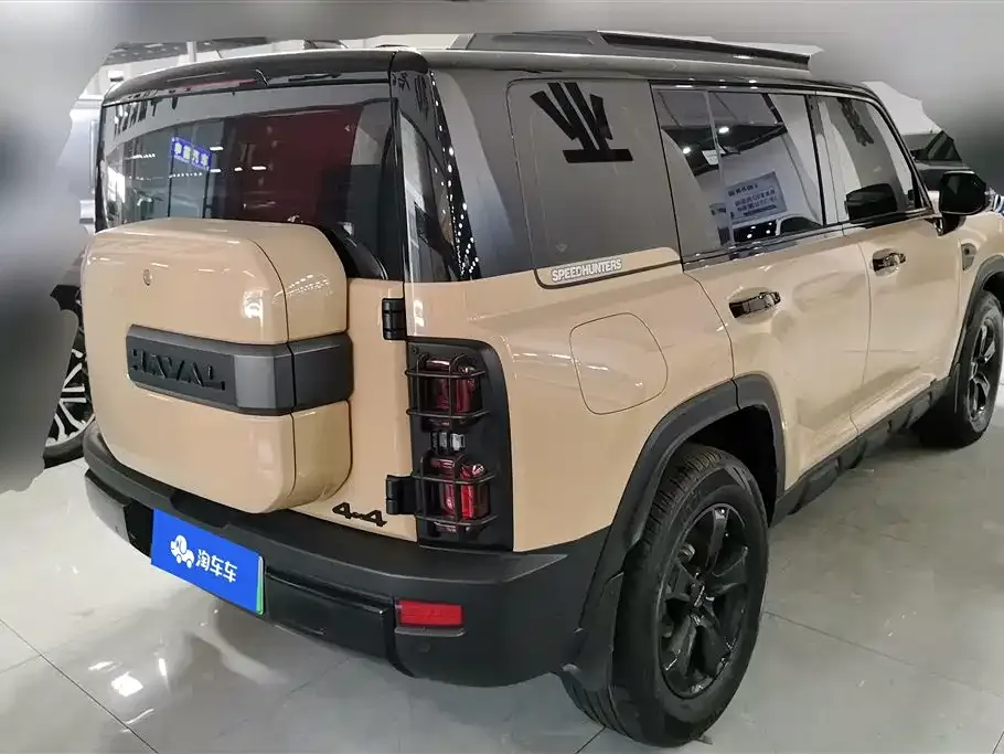 Haval Menglong New Energy — фото 9