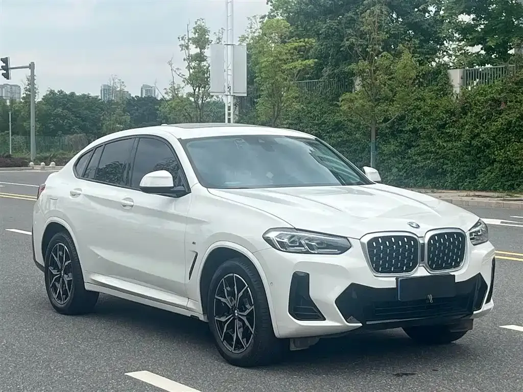 BMW X4 — фото 7