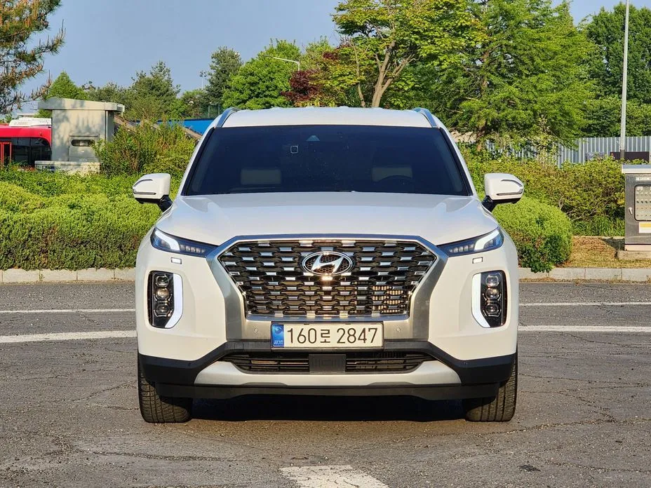 Hyundai Palisade — фото 1