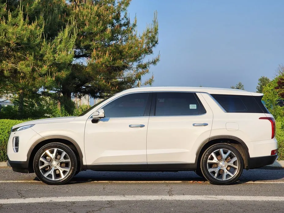 Hyundai Palisade — фото 7