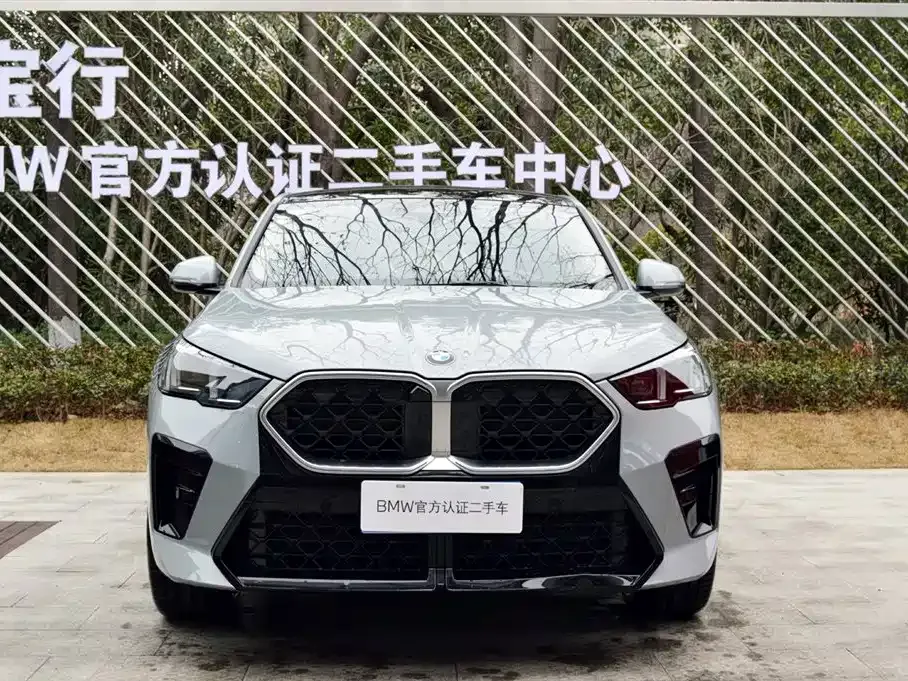 BMW X2 (Import) — фото 6
