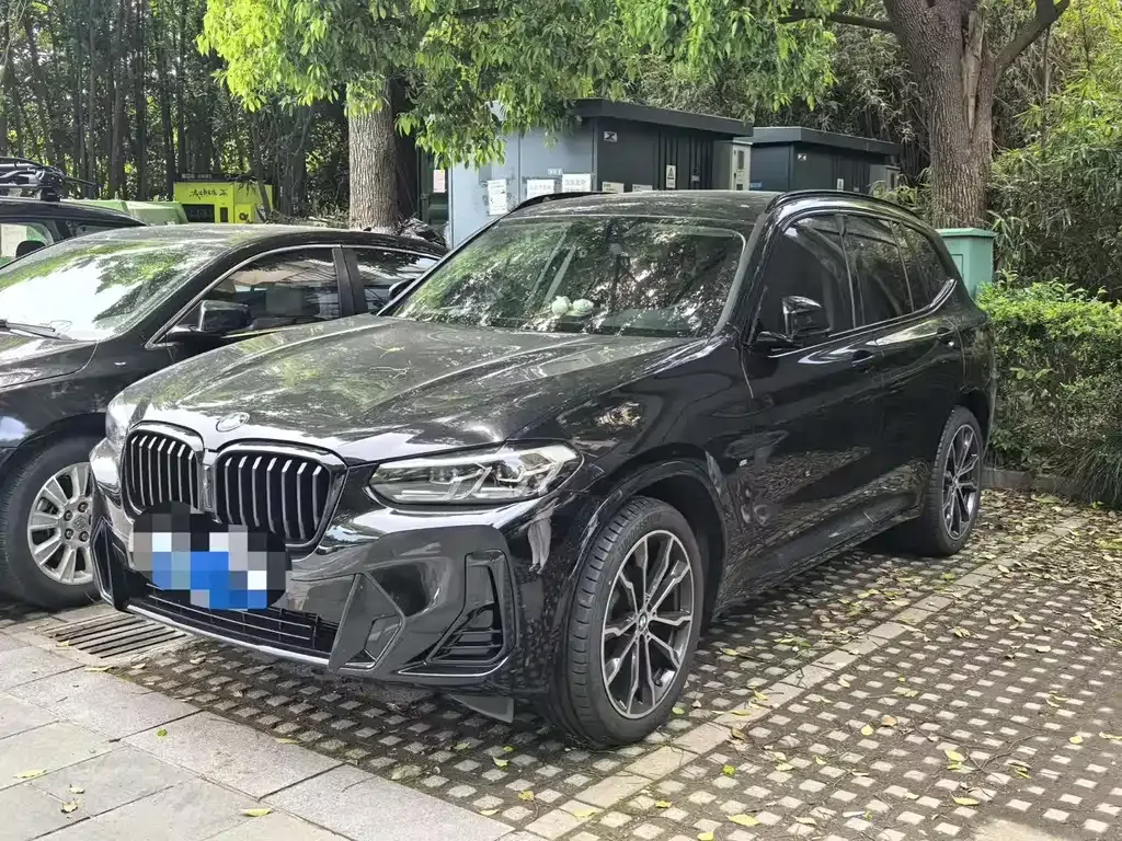 BMW X3 — фото 1