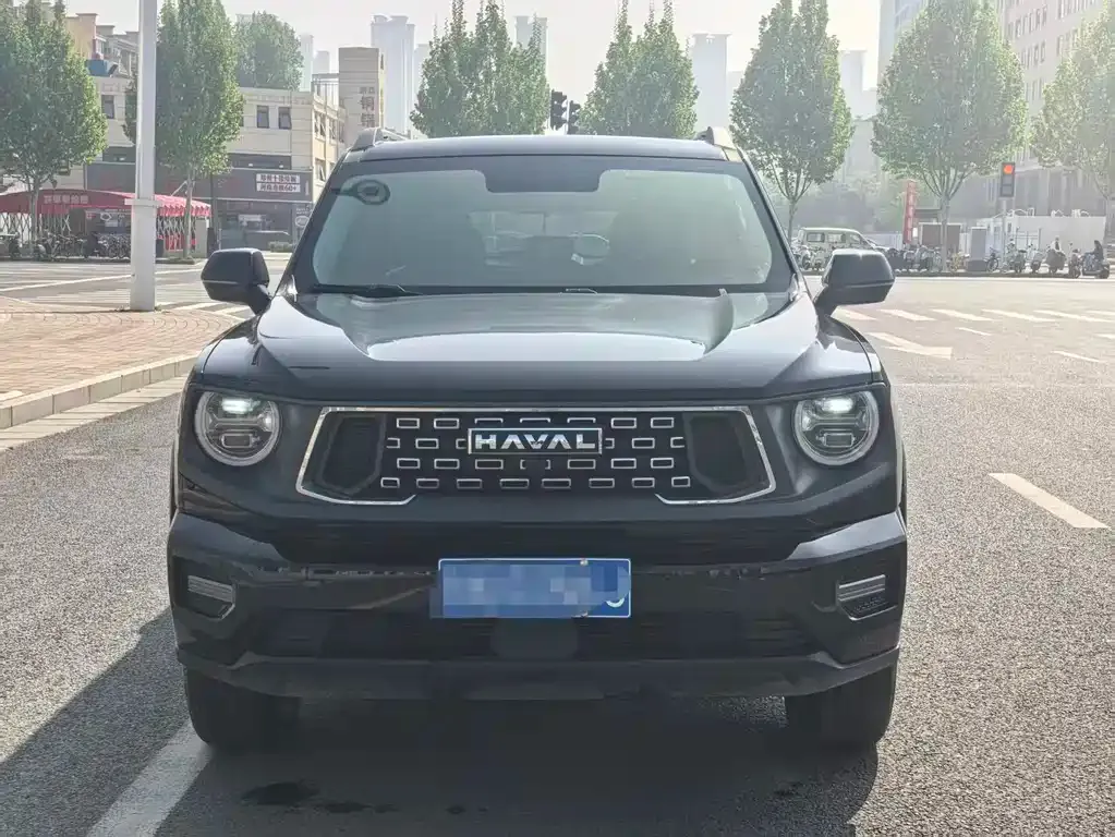 Haval Big Dog PLUS — фото 8