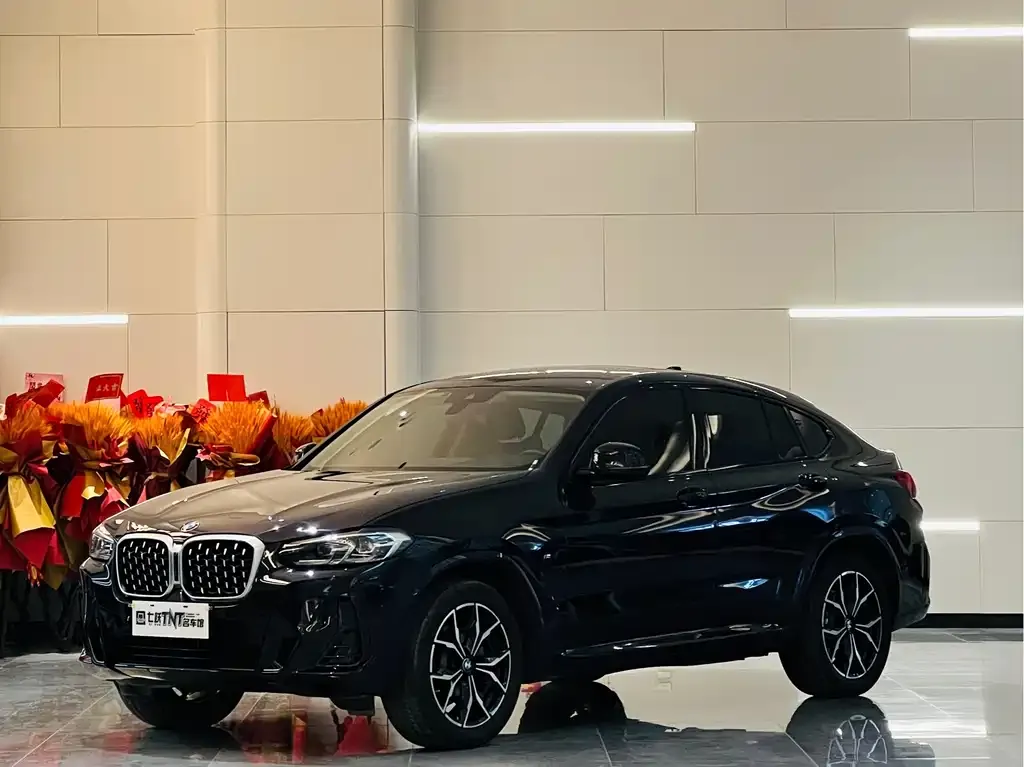 BMW X4 — фото 1