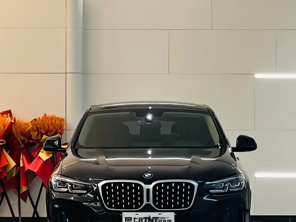 BMW X4 — фото 4