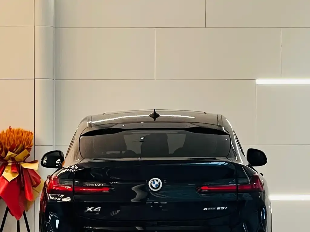 BMW X4 — фото 5