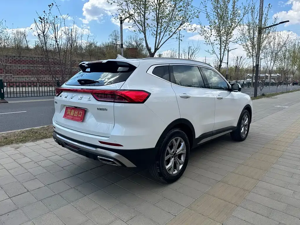 Haval H6 — фото 9
