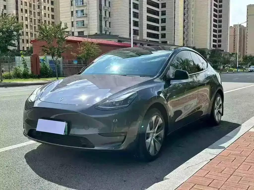 Tesla Model Y — фото 1