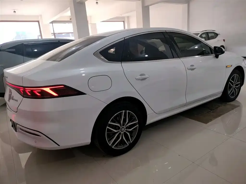 BYD Qin PLUS — фото 2