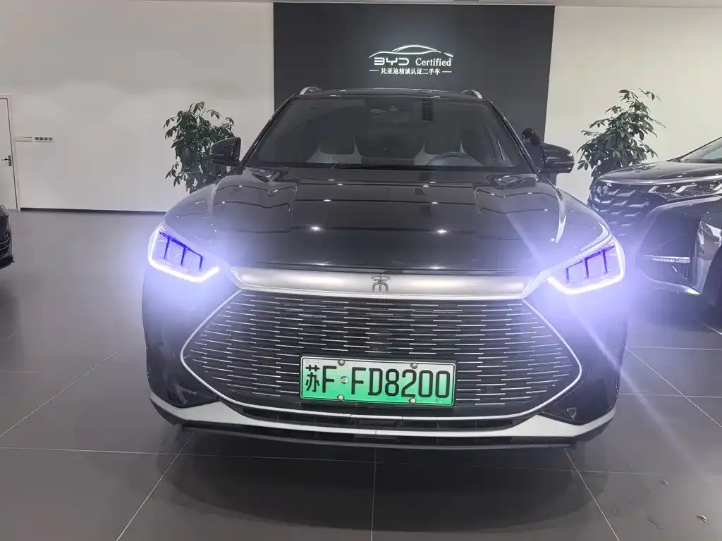 BYD PLUS New Energy — фото 8
