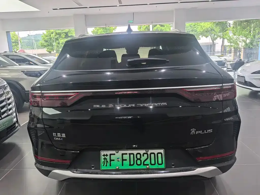 BYD PLUS New Energy — фото 5