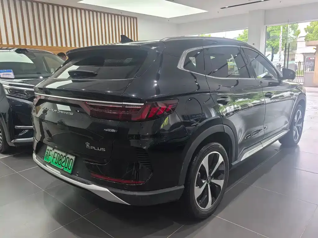 BYD PLUS New Energy — фото 9